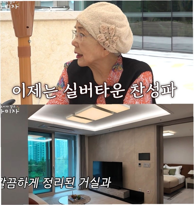 60억 집 내놓은 사미자, 실버타운 입주 고민…노후 주거의 새로운 해법?