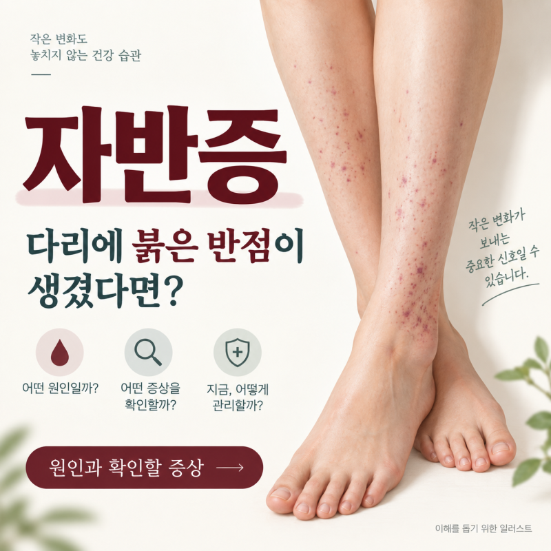 자반증, 다리에 붉은 반점이 생겼다면? 원인과 확인할 증상
