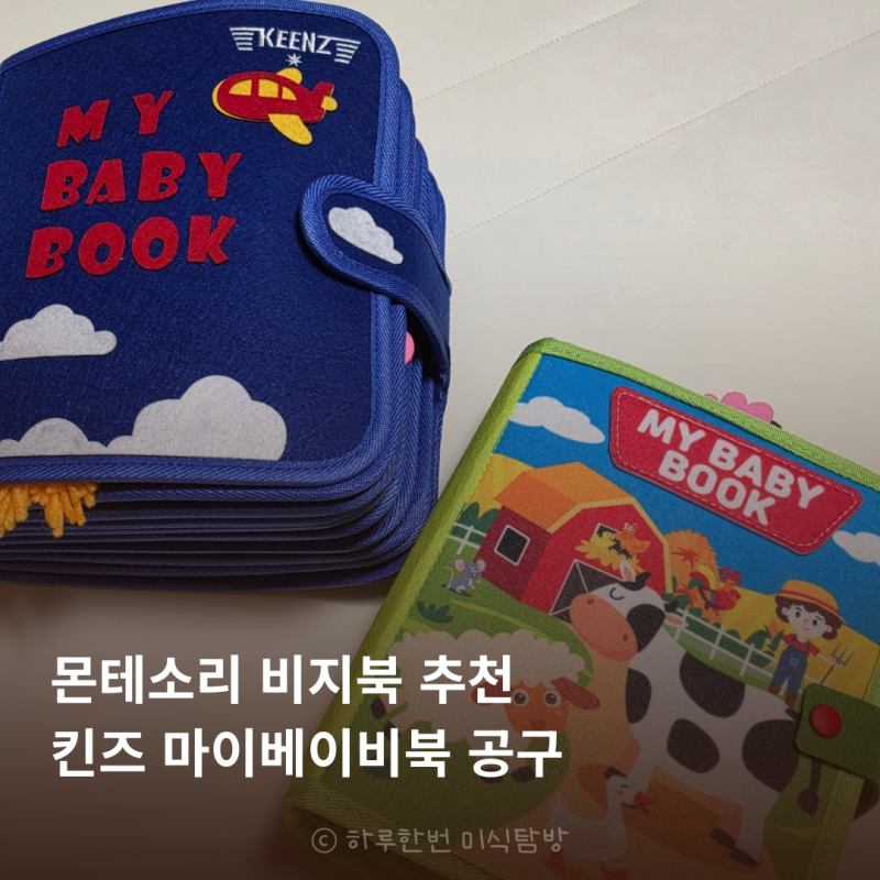 몬테소리 비지북 추천 다이소보다 저렴한 마이베이비북 공구 (~9/27)