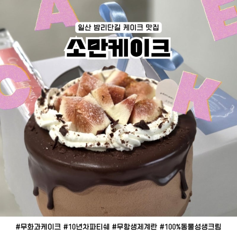 일산 케이크 맛집 추천! 밤리단길 케이크 전문점 소만케이크 일산 홀케이크 예약 주문 후기