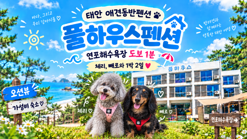 [태안] 연포해수욕장 애견동반펜션 '풀하우스' 강아지랑 다녀온 바다 앞 숙소