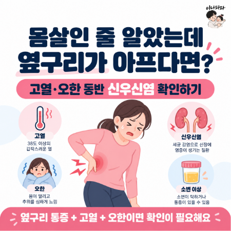 몸살인 줄 알았는데 옆구리가 아프다면? 고열·오한 동반 신우신염 확인하기