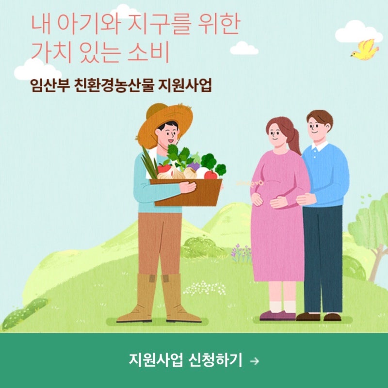 [임산부] 대구 임산부친환경농산물지원사업(친환경 꾸러미) 신청방법