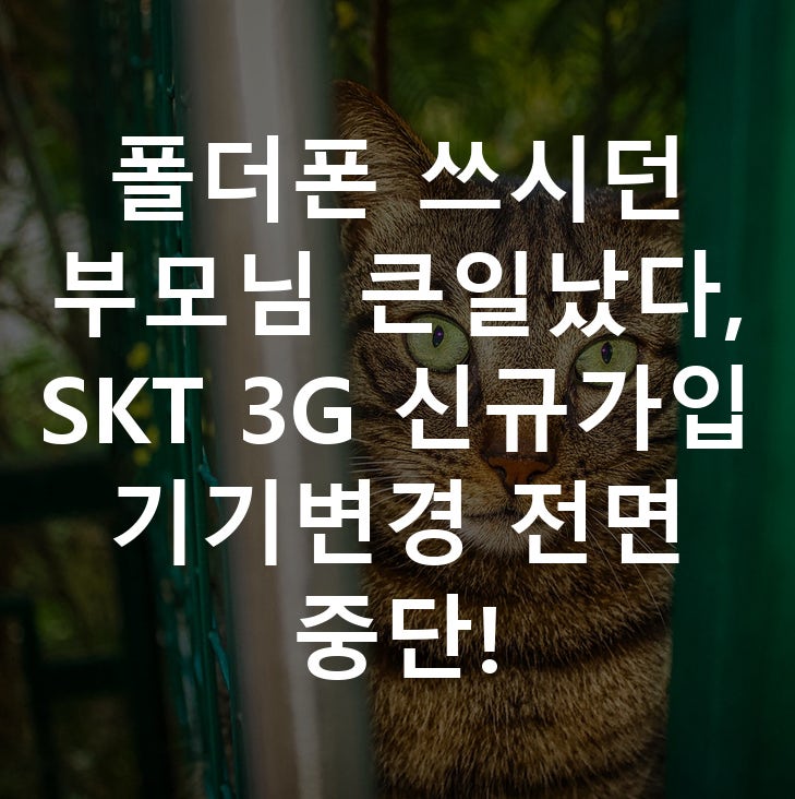 폴더폰 쓰시던 부모님 큰일났다, SKT 3G 신규가입 기기변경 전면 중단!