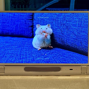 LG스탠바이미Go 후기 ㅣ 캠핑TV로 사용하다 카페TV로 활용해본 이야기