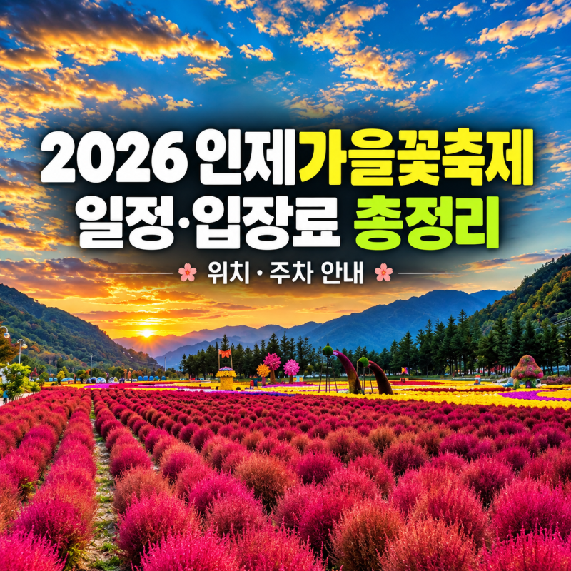 주말 나들이 추천, 2026 인제가을꽃축제 총정리｜일정·입장료·위치·주차 안내