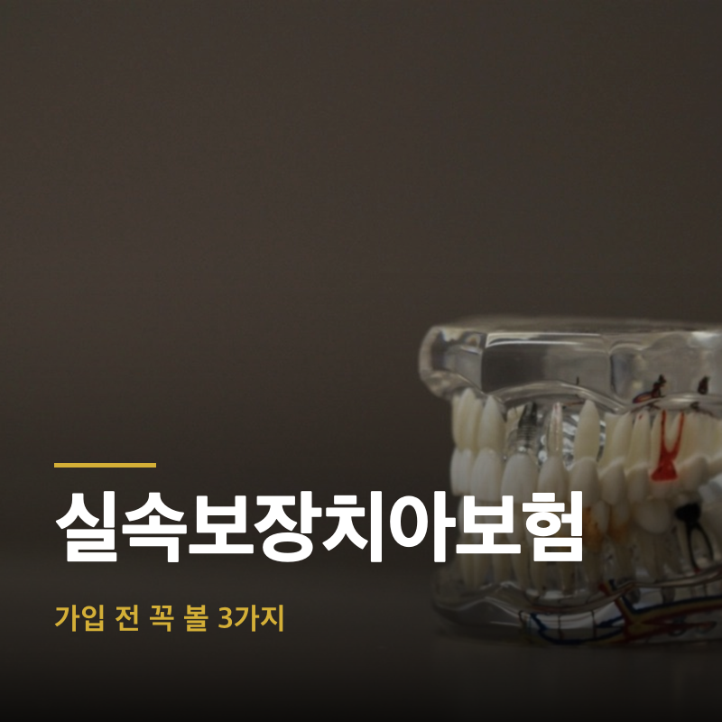 실속보장치아보험, 가입 전 꼭 볼 3가지