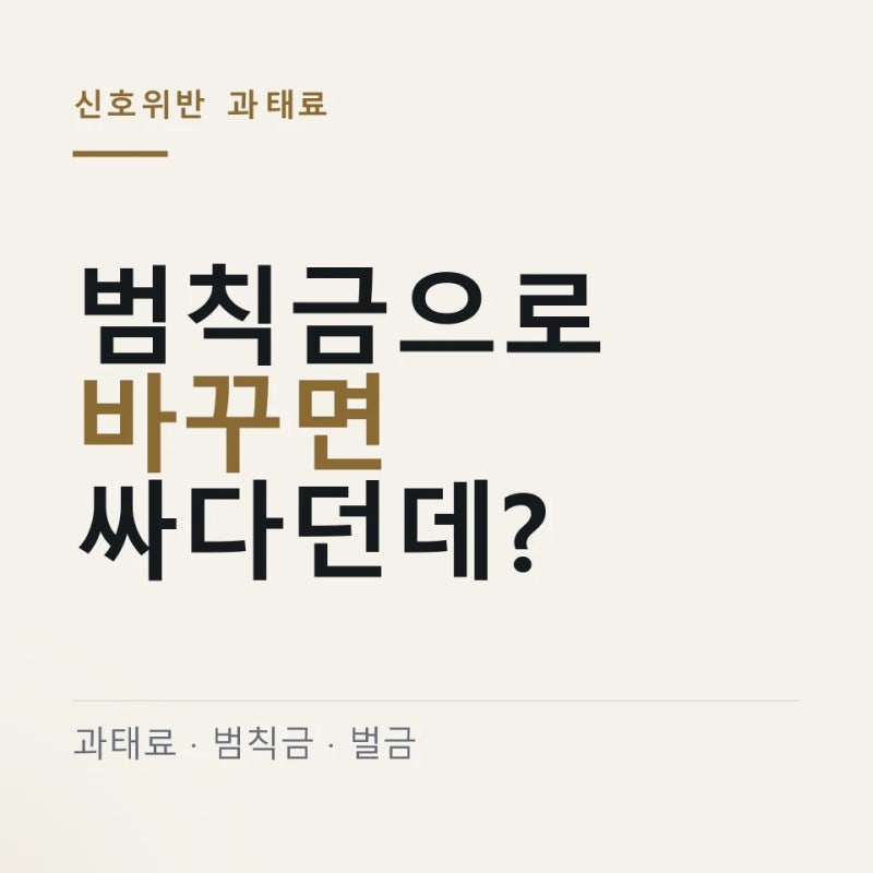 "범칙금으로 바꾸면 싸다던데?" 신호위반 과태료 벌금 차이 및 조회 방법