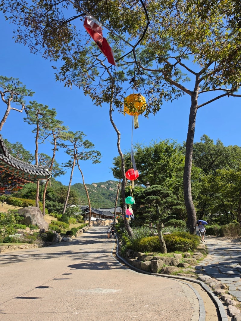 서울에 이런 산사가? 은평한옥마을 옆 진관사 주차·가는 길