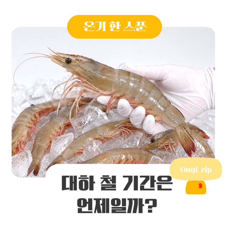 대하 철 기간 언제일까? 가을 대하 제철과 맛있는 시기