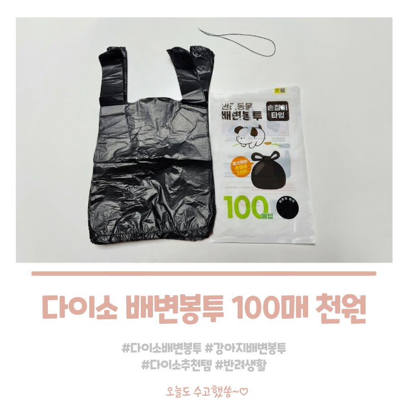 다이소 배변봉투 100매 1,000원, 강아지 산책부터 집에서까지 써본 후기