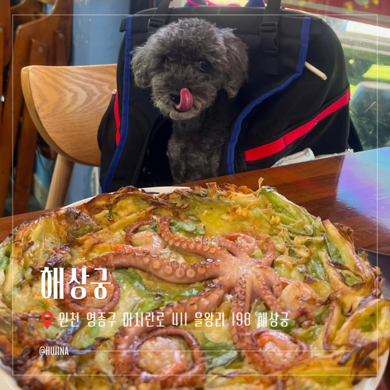 영종도맛집 을왕리맛집 해상궁｜인천공항애견동반식당 푸짐한 낙지 한상