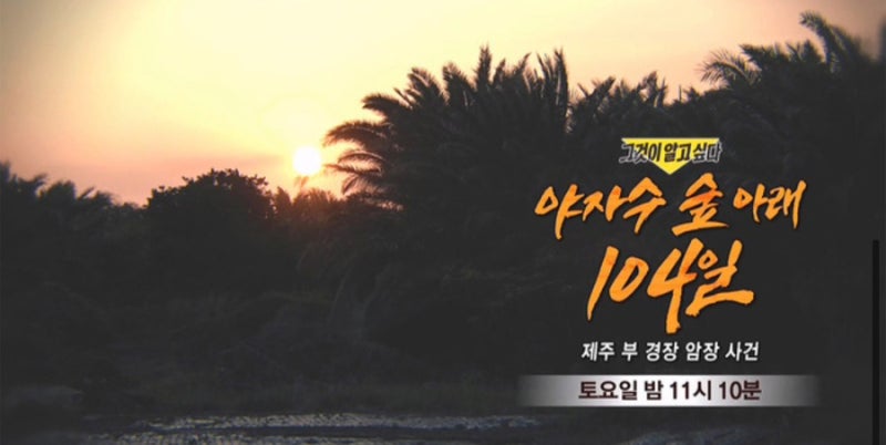 그것이 알고싶다 야자수 숲 아래 104일, 제주 부경장 암장 사건 장미란 실종