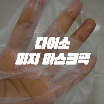 다이소 피지팩 리더스 바이오셀 포어 제로 마스크팩 내돈내산 후기
