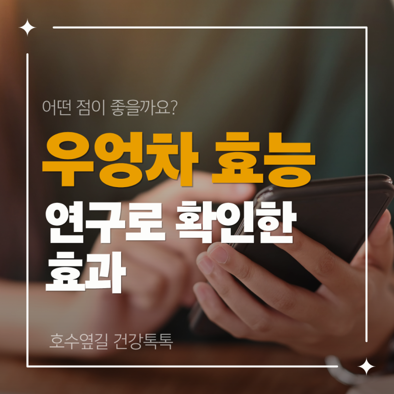 우엉차 효능, 어떤 점이 좋을까요? 연구로 확인한 효과와 제대로 마시는 법