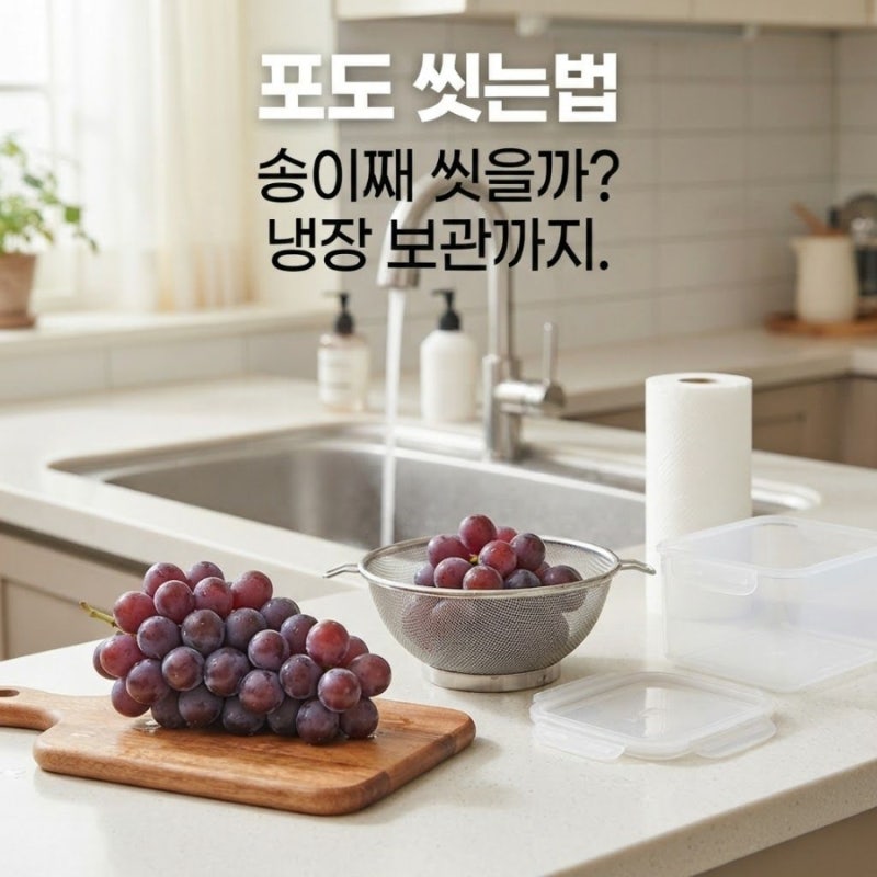 포도 씻는법은? 깨끗하게 세척하는 방법과 냉장 보관법