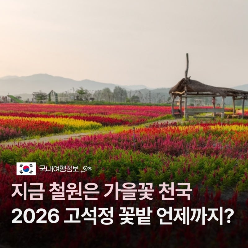 2026 철원 고석정 꽃밭 언제까지? 개화현황·입장료·주차