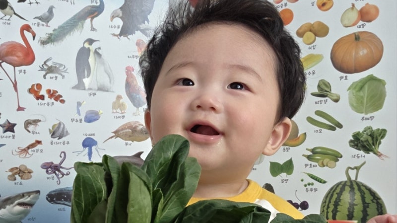 [초기 이유식] 싱싱한 청경채 큐브 만들기!
