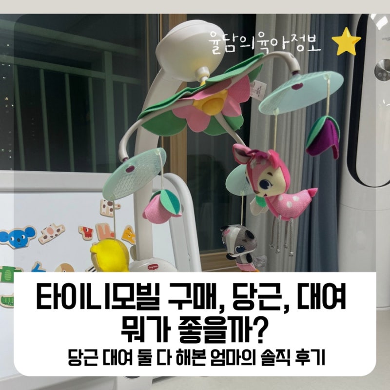 타이니모빌 구매, 당근, 대여 뭐가 좋을까? 당근, 대여 둘다해본 엄마의 솔직 후기
