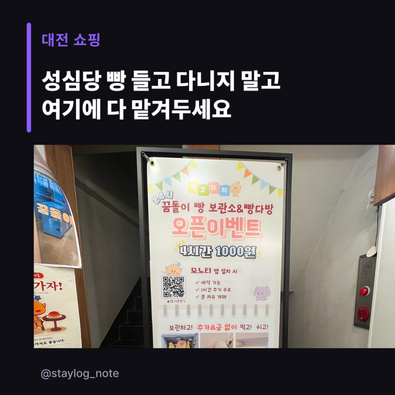 성심당 샤인멜론시루 냉장 보관하기, 꿈돌이 빵 보관소 후기