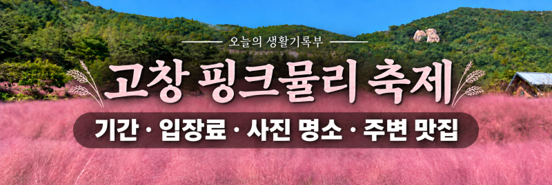 고창 핑크뮬리 축제, 분홍빛 가을 나들이｜기간·입장료·주변 맛집 총정리