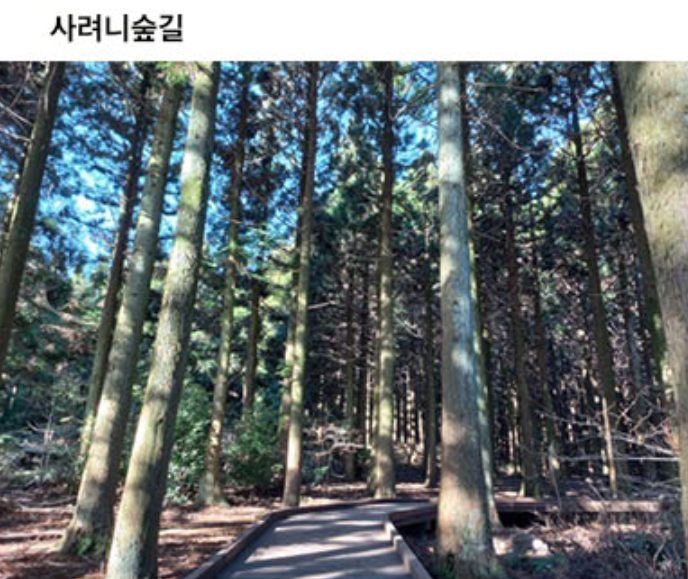 濟州島套裝行程2晚3天，免開車暢遊濟州核心景點