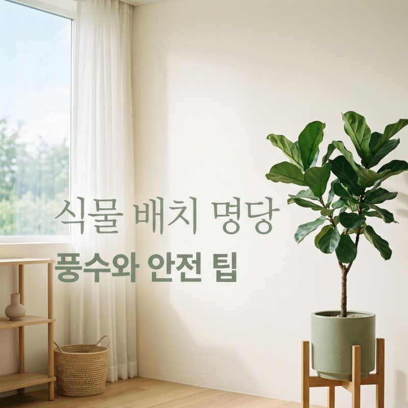 "창가에 화분 두면 안 된다고?" 알고 보니 대박 나는 식물의 의외의 위치