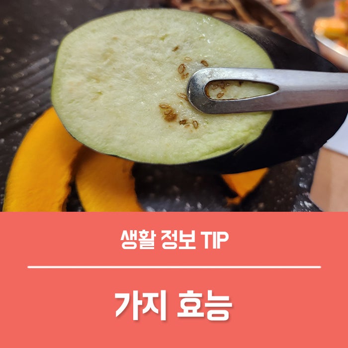가지효능 부작용, 가지 1개 칼로리 낮을까?