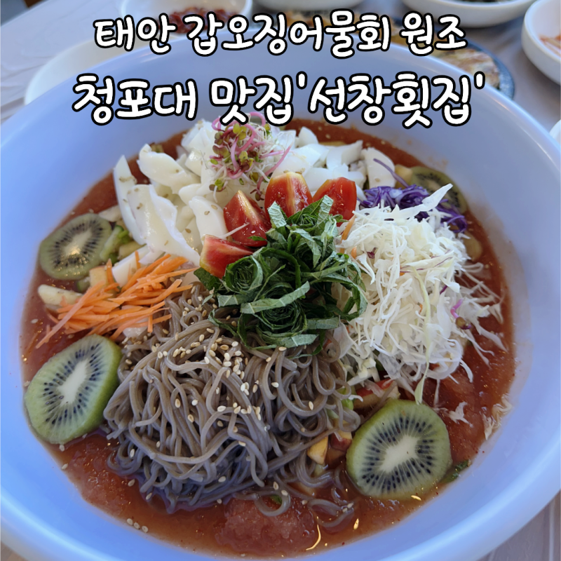 태안 청포대 맛집 갑오징어물회 원조｜ 마검포 선창횟집, 태안 유일 블루리본 13년 연속 ·쯔....