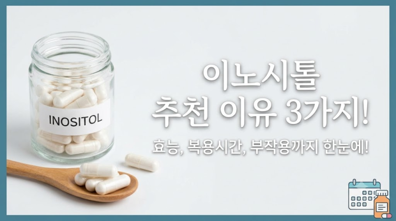 이노시톨 추천 이유 3가지: 효능, 복용시간, 부작용까지 한눈에