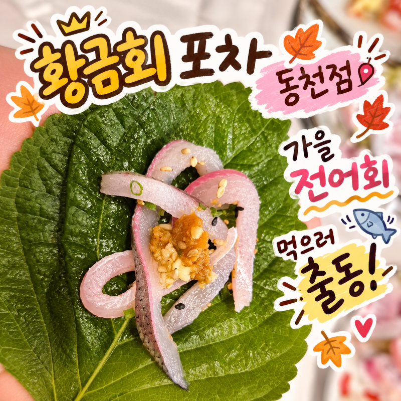 [광주 서구] 가을 전어회 맛집 황금회 포차 동천점 다녀왔어요.