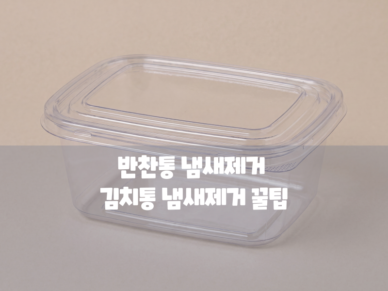 반찬통 냄새제거 김치통 냄새제거 꿀팁 찌든 냄새 5분 만에 싹 지우는 공식