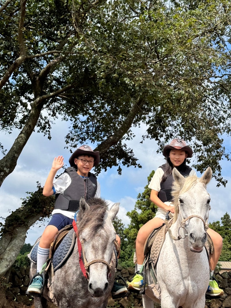 濟州騎馬體驗牧場咖啡廳「Batdi」，孩子玩得盡興