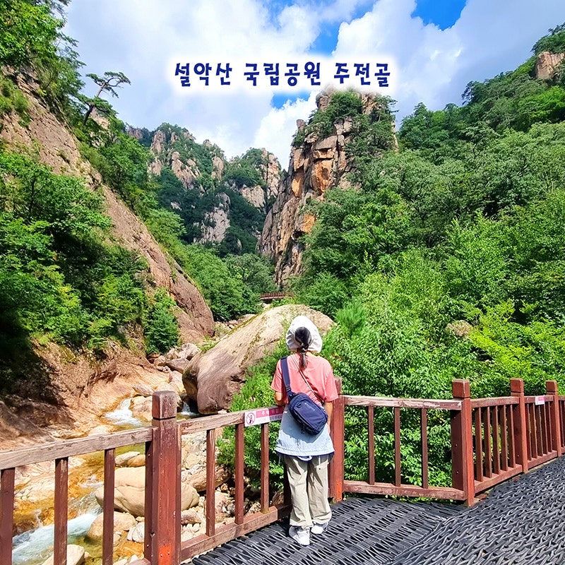 설악산 국립공원 주전골 계곡 코스 용소폭포 국내 가족여행 추천