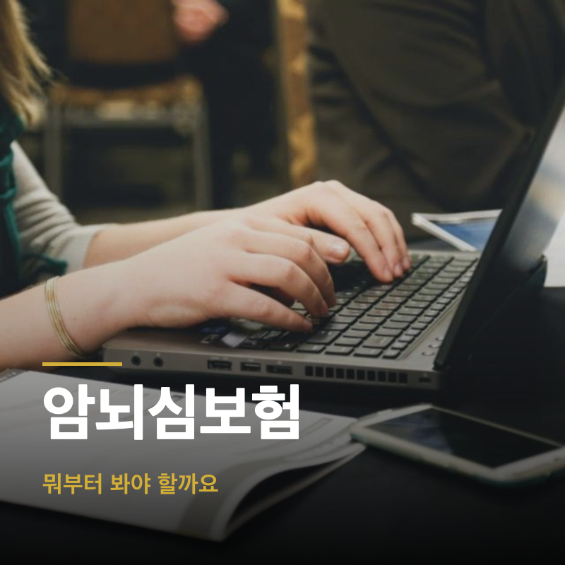 암뇌심보험, 뭐부터 봐야 할까요