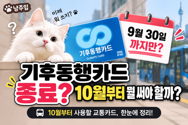 기후동행카드 종료, 9월 30일까지만? 10월부터 뭘 써야 할까