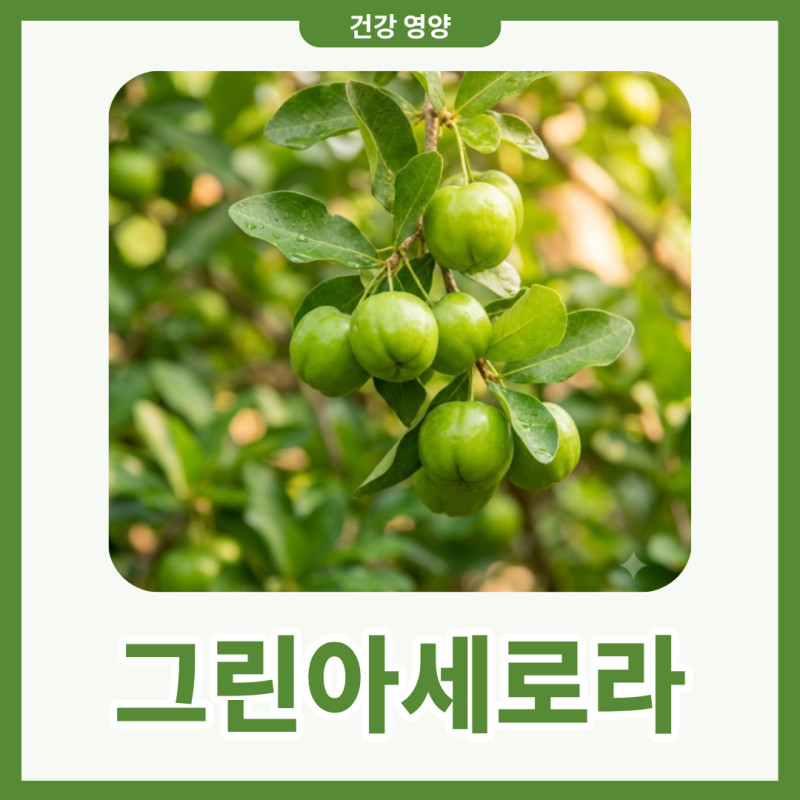 그린아세로라 비타민C가 풍부한 이유와 섭취법 알아보기