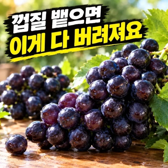 포도껍질 효능 알고 나서 뱉는 게 아까워졌어요