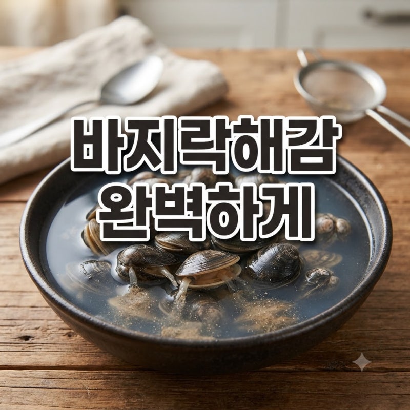 바지락해감 완벽하게 하는법, 이제 흙 씹지마세요