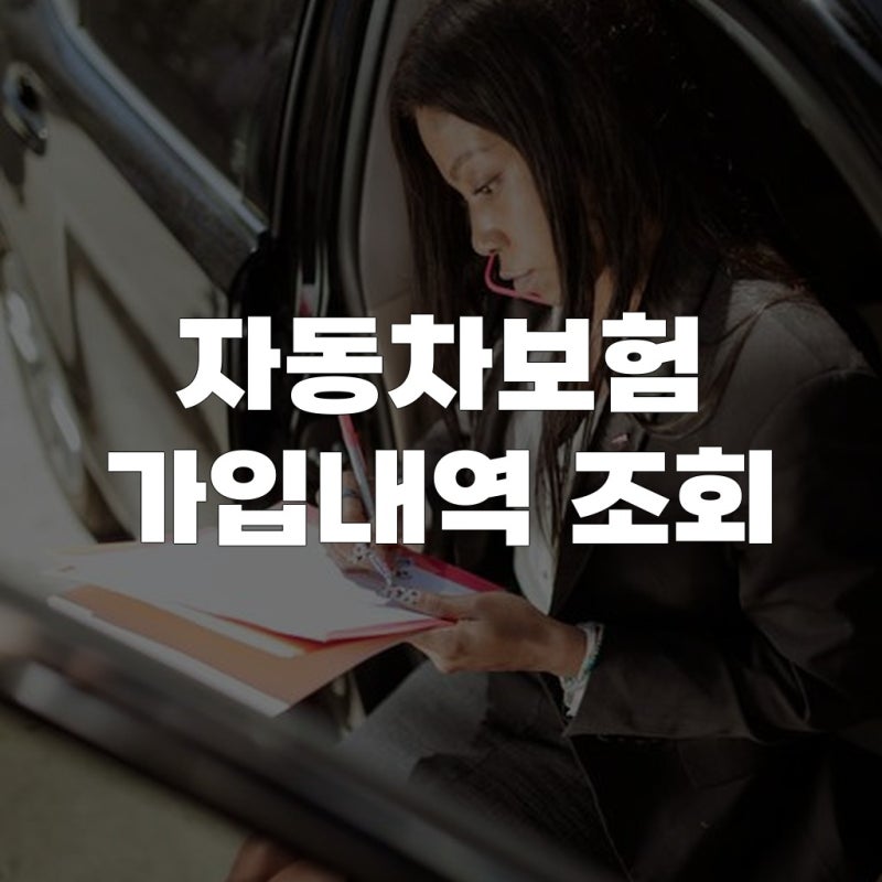 자동차보험 가입내역 조회