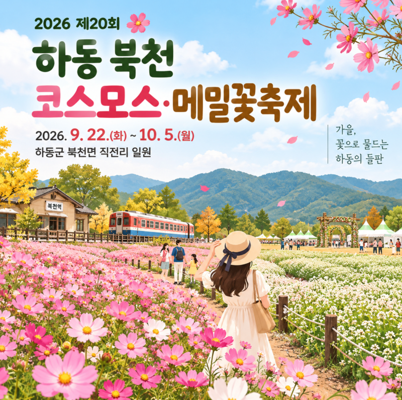 2026 하동 북천 코스모스 메밀꽃축제 일정 주차 입장료 개화상황 20주년 행사 하동레일바이크....