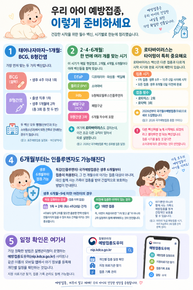 아기 예방접종 일정 총정리｜신생아부터 6개월까지 BCG·B형간염·로타바이러스