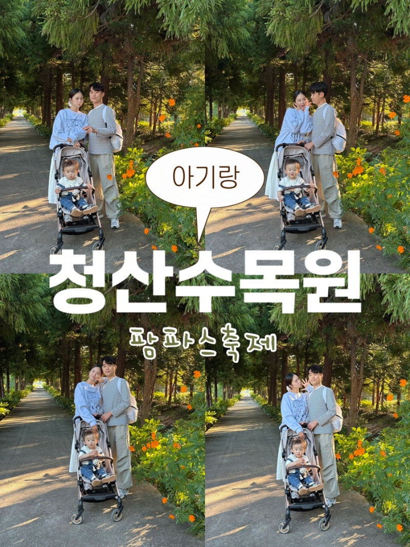 [태안 여행] 가을에 아기랑 가볼만한곳│청산수목원 팜파스 핑크뮬리(9월 중순 방문한 후기)