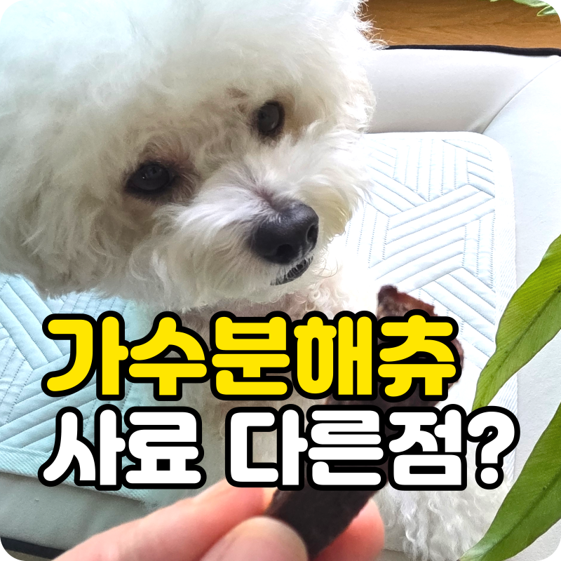 강아지 가수분해 사료 가수분해츄, 뭐가 다를까? 알레르기 걱정될 때 꼭 알아둘 차이