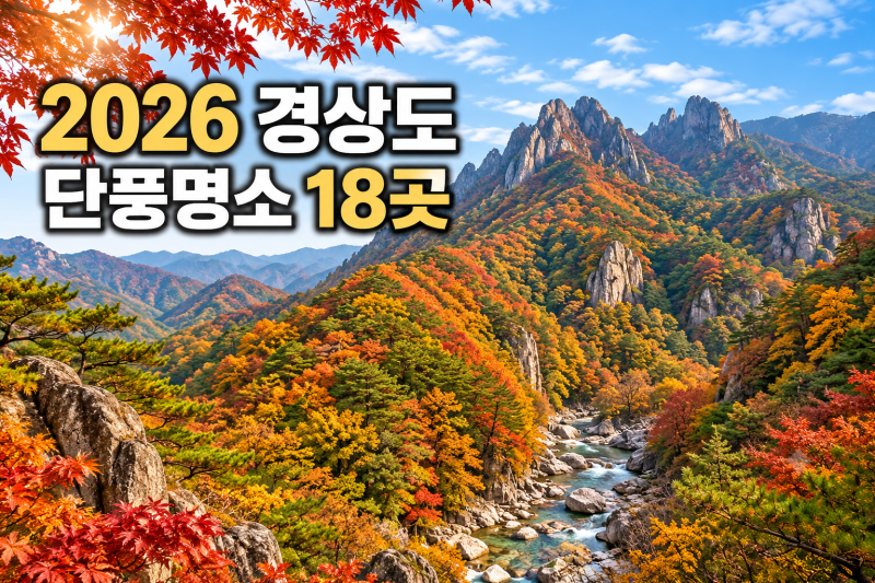 2026 경상도 단풍 시기, 주왕산부터 11월 은행나무까지 18곳