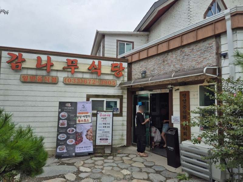 양양 맛집 감나무식당 황태국밥 웨이팅 솔직 후기