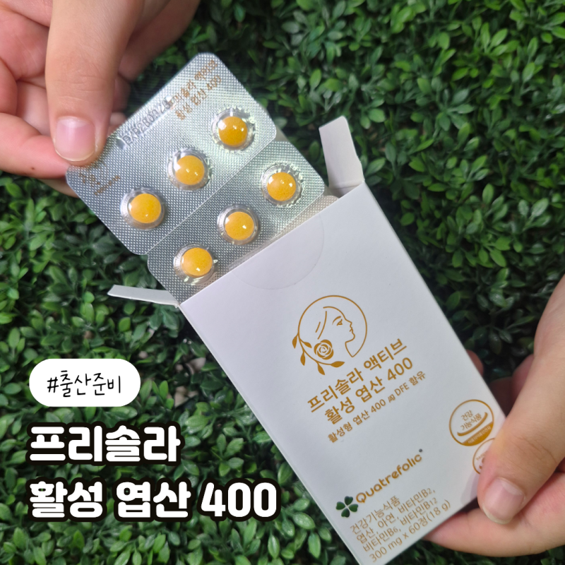 임신준비 엽산400 활성형 엽산으로 꼼꼼하게 비교해 본 후기