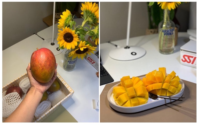 국산 제주 애플망고 농장 3kg 선물용 세트 가격 구성 및 후숙 꿀팁 정리
