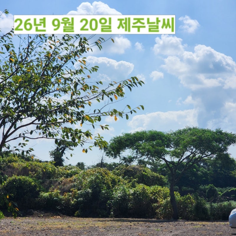 9월 20일 제주도 날씨 서귀포 실시간 옷차림 쾌청한 맑음 캠핑 주말 한라산 예보