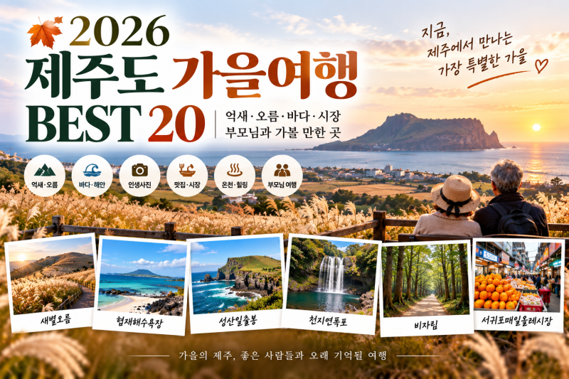 2026 제주도 가을여행 BEST 20억새·오름·바다·시장 부모님과 가볼 만한 곳